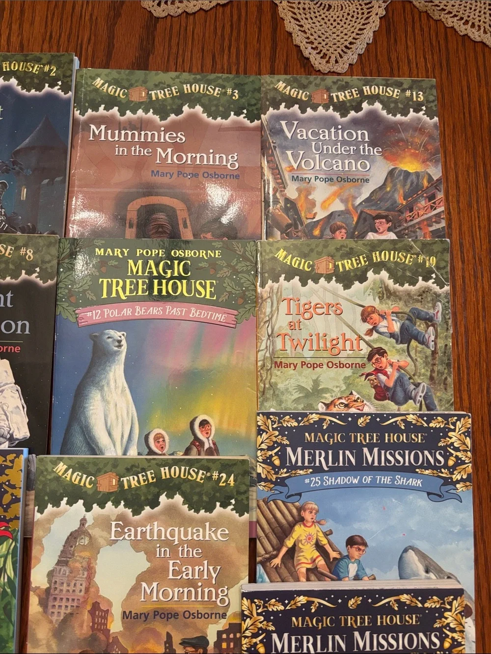 Magic Treehouse Novels (lot of 17)